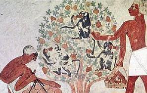 奴隶这一词在中国是什么时候出现的?起源是什么 奴隶这一词在中国是什么时候出现的?起源是什么