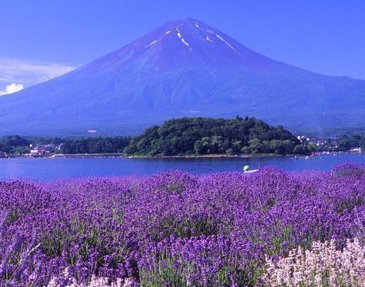 乌托邦是怎样的一个世界？真的存在乌托邦世界吗