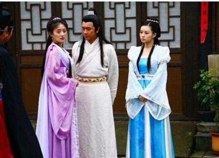 为什么到最后是一个丫鬟为包拯延续子嗣？他没有其他妾室吗