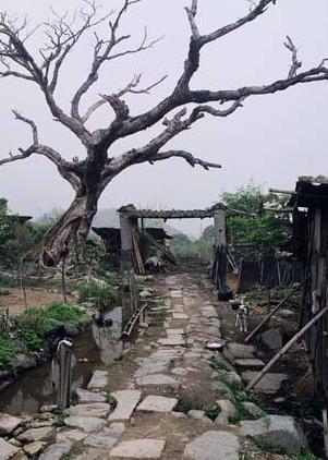 中国古代的大路为什么又被称为官路？是专门让当官的走的吗