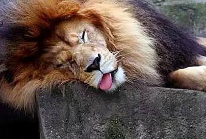 古人醒酒都有什么方式 除了奇葩之外就是恶心