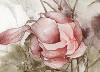 异人的行情是怎么水涨船高的?华阳夫人为什么要收他作义子?