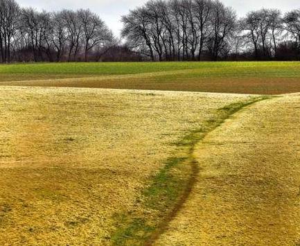 美国19世纪著名的诗人惠特曼的诗歌究竟如何 经典诗歌欣赏