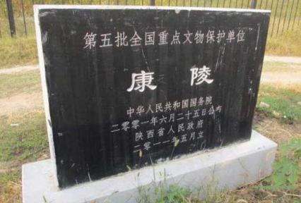 他是西汉最后一个皇帝 他的一生到底有多悲惨呢