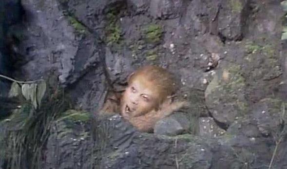 《西游记》中孙悟空打死的老狐狸有什么来历?为什么在封神中地位那么高