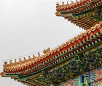 故宫为什么鸟敢拉屎呢 这里面到底有什么科学依据呢 故宫为什么鸟敢拉屎呢 这里面到底有什么科学依据呢