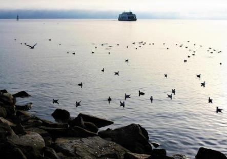 陆羽之前没有“茶”字?谜一样的陆羽和唐朝喝茶法! 陆羽之前没有“茶”字?谜一样的陆羽和唐朝喝茶法!