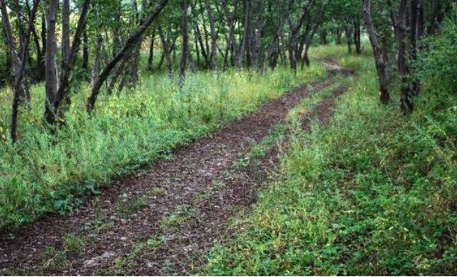 龙兴之地的地址在哪里？为保护它清朝做了什么