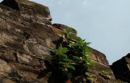 紫薇大帝在人间的地位如何 为什么百姓会对他如此的崇拜呢 紫薇大帝在人间的地位如何 为什么<a href=https://www.lishiji.cn/lishi/8023/ target=_blank class=infotextkey>百姓</a>会对他如此的崇拜呢