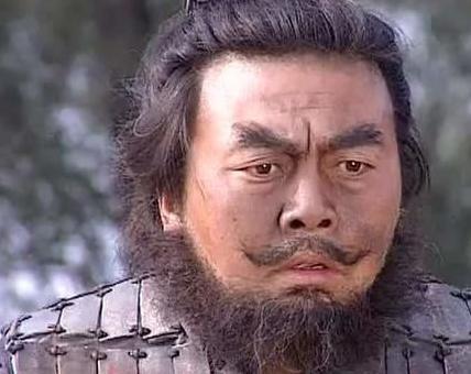 他智比孔明武比张飞可谓是蜀中第一猛将 却无奈没有遇到明君