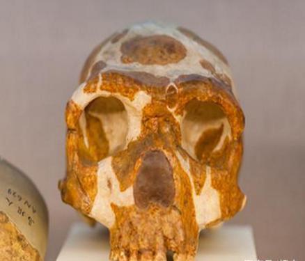 唐玄奘的下场如何 为何会落到如此凄惨的结局呢 唐玄奘的下场如何 为何会落到如此凄惨的结局呢