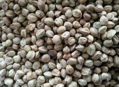 古代的主要食物是什么 古人一般都吃什么呢 古代的主要食物是什么 古人一般都吃什么呢