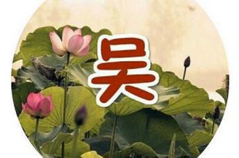 历史上的吴姓大官有哪些人?吴三桂竟然被追封为皇帝? 历史上的吴姓大官有哪些人?吴三桂竟然被追封为皇帝?