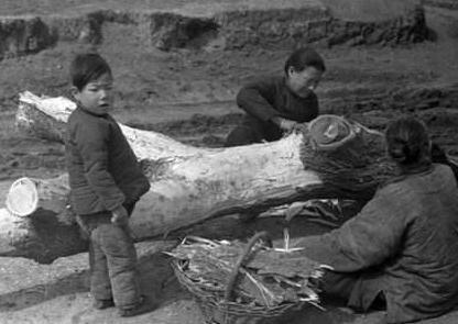 和珅口中说的观音土是什么东西 吃了会有什么副作用呢 和珅口中说的观音土是什么东西 吃了会有什么副作用呢