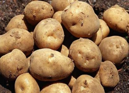 古代的主要食物是什么 古人一般都吃什么呢 古代的主要食物是什么 古人一般都吃什么呢