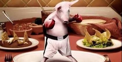 除了明朝之外 还有什么朝代是禁止不能吃猪肉的