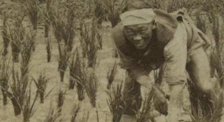 清朝时期究竟发生了什么事情 为何人口会从7000万突然间就增到4亿呢 清朝时期究竟发生了什么事情 为何人口会从7000万突然间就增到4亿呢