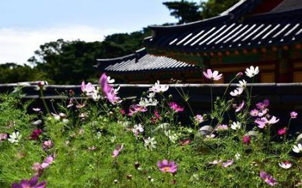 陆羽之前没有“茶”字?谜一样的陆羽和唐朝喝茶法! 陆羽之前没有“茶”字?谜一样的陆羽和唐朝喝茶法!