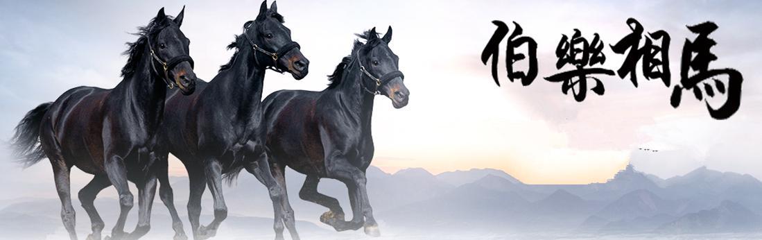 史上最厉害的相马高手是谁?不是伯乐,比伯乐还要高明千百倍!