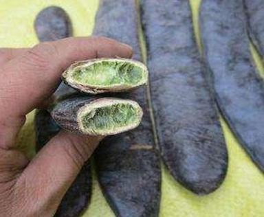 古代没有肥皂洗发水 古人一般都用什么东西洗澡洗头的 古代没有肥皂洗发水 古人一般都用什么东西洗澡洗头的