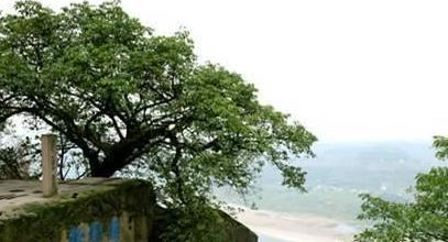 南宋钓鱼城究竟发生了什么事情 为何说该地方挽救了半个世界 南宋钓鱼城究竟发生了什么事情 为何说该地方挽救了半个世界