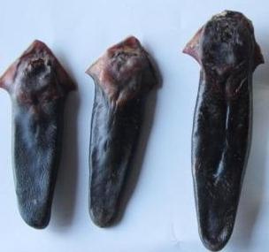 唐玄宗是因为一道美食而差点丢掉江山的吗？是什么美食