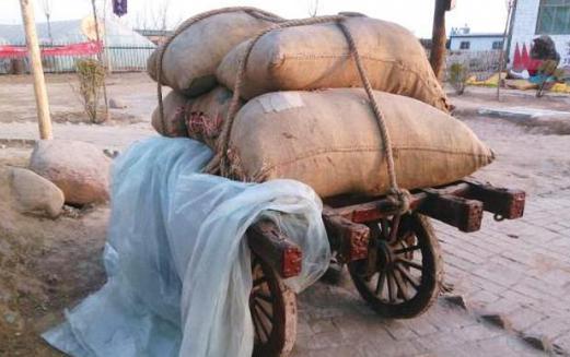 隋朝给唐朝留了50年存粮是真的吗？唐朝人有没有吃过隋朝的粮食？