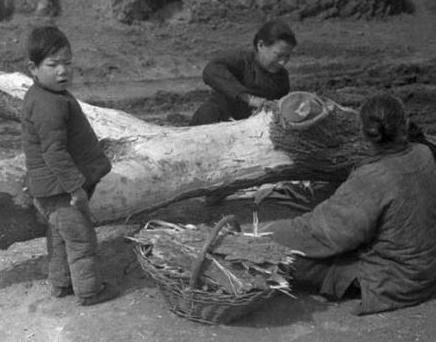古代天灾为什么百姓不去抓鱼吃呢 你要是在当时也不会娶抓鱼的 古代天灾为什么百姓不去抓鱼吃呢 你要是在当时也不会娶抓鱼的