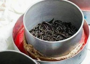 苗族的蛊术厉害吗 真的有电影小说那样吗