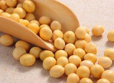 古代的主要食物是什么 古人一般都吃什么呢 古代的主要食物是什么 古人一般都吃什么呢