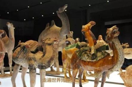 古代中国没有骆驼,唐三彩为什么有很多马和骆驼? 古代中国没有骆驼,唐三彩为什么有很多马和骆驼?