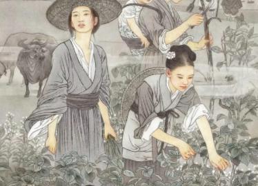 蔡伦不仅是个造纸高手还是个有名剑客！蔡伦是怎么死的？