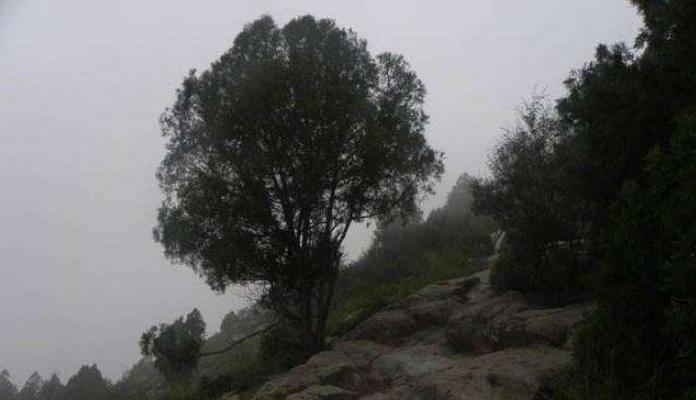 为何武则天的乾陵如此神秘?藏有500吨陪葬品,1300多年却无人能盗