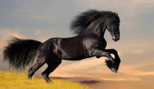 汉朝初年为什么要推行无为而治？这样有什么好处