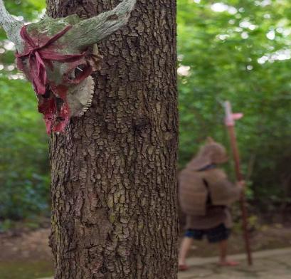 藤甲兵的藤甲材料很难制作吗 为什么诸葛亮北伐却没有使用呢