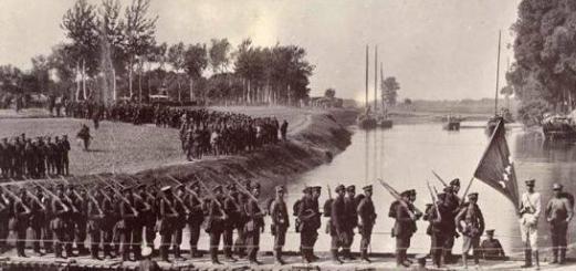 辛亥革命时为什么要重用北洋军？原因是什么