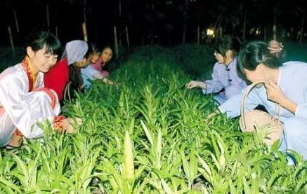 盘点古代中秋习俗 民间传说睡得越晚越长寿 盘点古代中秋习俗 民间传说睡得越晚越长寿
