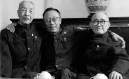 为何咸丰之后清朝皇帝开始绝后?谁该承担这个责任? 为何咸丰之后清朝皇帝开始绝后?谁该承担这个责任?