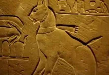 揭秘古代埃及为何崇拜猫 甚至还做成木乃伊来供奉神灵 揭秘古代埃及为何崇拜猫 甚至还做成木乃伊来供奉神灵