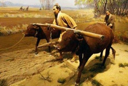 古代女子不结婚就会被重罚 为什么朝廷对此事逼得如此之紧呢