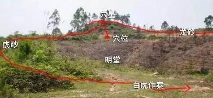 诸葛亮预言武则天能称帝是真的吗?诸葛亮的《马前课》写了什么? 诸葛亮预言武则天能称帝是真的吗?诸葛亮的《马前课》写了什么?