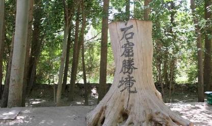 历史上著名的河西四郡：酒泉郡、武威郡、张掖郡、敦煌郡