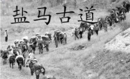 盐铁官营是怎么出现 为什么汉武帝会实施这个制度呢 盐铁官营是怎么出现 为什么汉武帝会实施这个制度呢