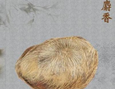 古人是如何避孕的呢 不是什么人都用得了此物的