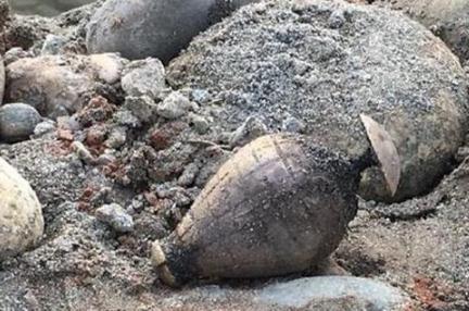 张献忠“江口沉银”在上面地方？张献忠“江口沉银”是真是假？