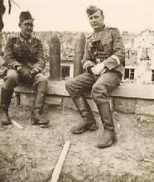 法兰西战役的详细经过是怎样的?最后结果如何 法兰西战役的详细经过是怎样的?最后结果如何