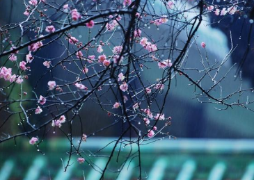 1623996637832205.png image.png