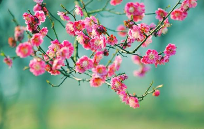 1623996646656705.png image.png