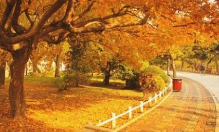 1619577758970815.png image.png