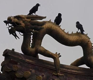 1632376645242199.png image.png